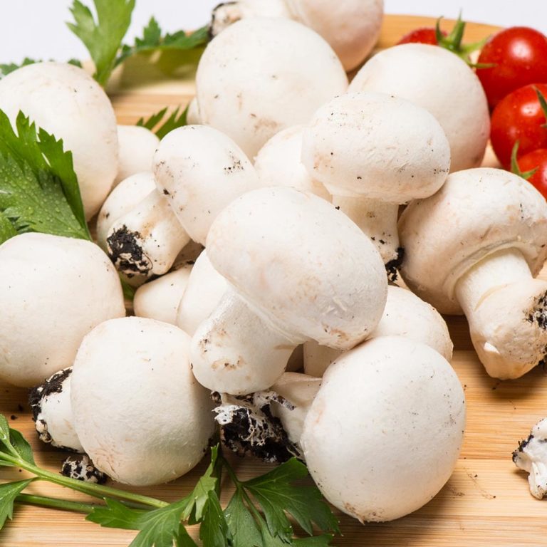 Шампиньоны